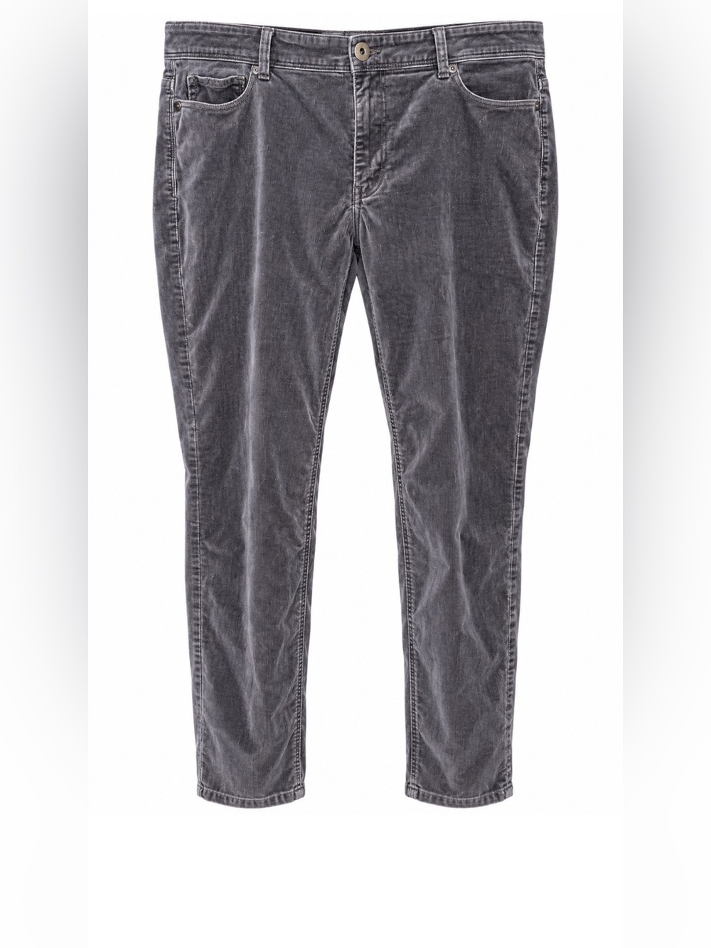 J. Jill Straight Leg Velour Pants in Dark Brown